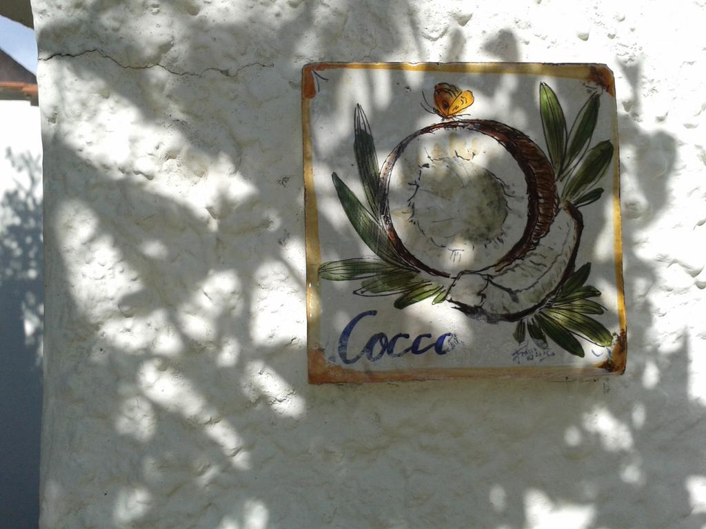 Pitosforo - Ulivo - Cocco Villa Forio di Ischia Eksteriør bilde